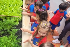 WhatsApp-Image-2024-12-04-at-09.06.42-1