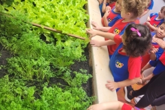 WhatsApp-Image-2024-12-04-at-09.06.42-2