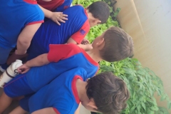 WhatsApp-Image-2024-12-04-at-09.06.42-3