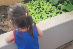 WhatsApp-Image-2024-12-04-at-09.06.42-4