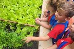 WhatsApp-Image-2024-12-04-at-09.06.42