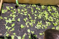 WhatsApp-Image-2024-12-04-at-09.06.43-1