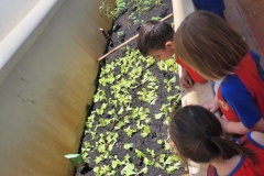 WhatsApp-Image-2024-12-04-at-09.06.43-2