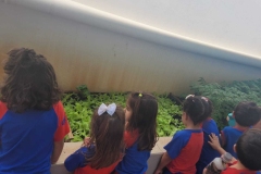 WhatsApp-Image-2024-12-04-at-09.06.43