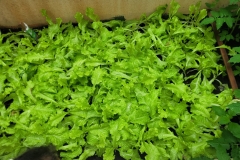 WhatsApp-Image-2024-12-04-at-09.12.14