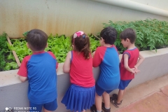 WhatsApp-Image-2024-12-04-at-09.12.28-1