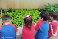 WhatsApp-Image-2024-12-04-at-09.12.28