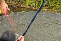 WhatsApp-Image-2024-12-02-at-13.54.10-2