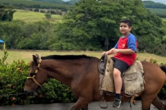 WhatsApp-Image-2024-12-02-at-13.58.21-2