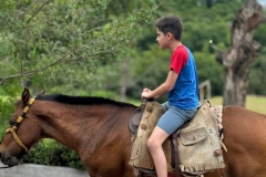 WhatsApp-Image-2024-12-02-at-13.59.34