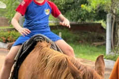 WhatsApp-Image-2024-12-02-at-13.59.35-1