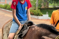 WhatsApp-Image-2024-12-02-at-13.59.37-2