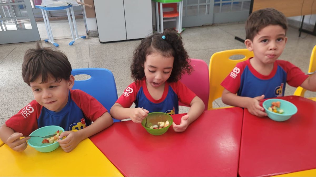 WhatsApp Image 2025 02 26 at 12.54.59