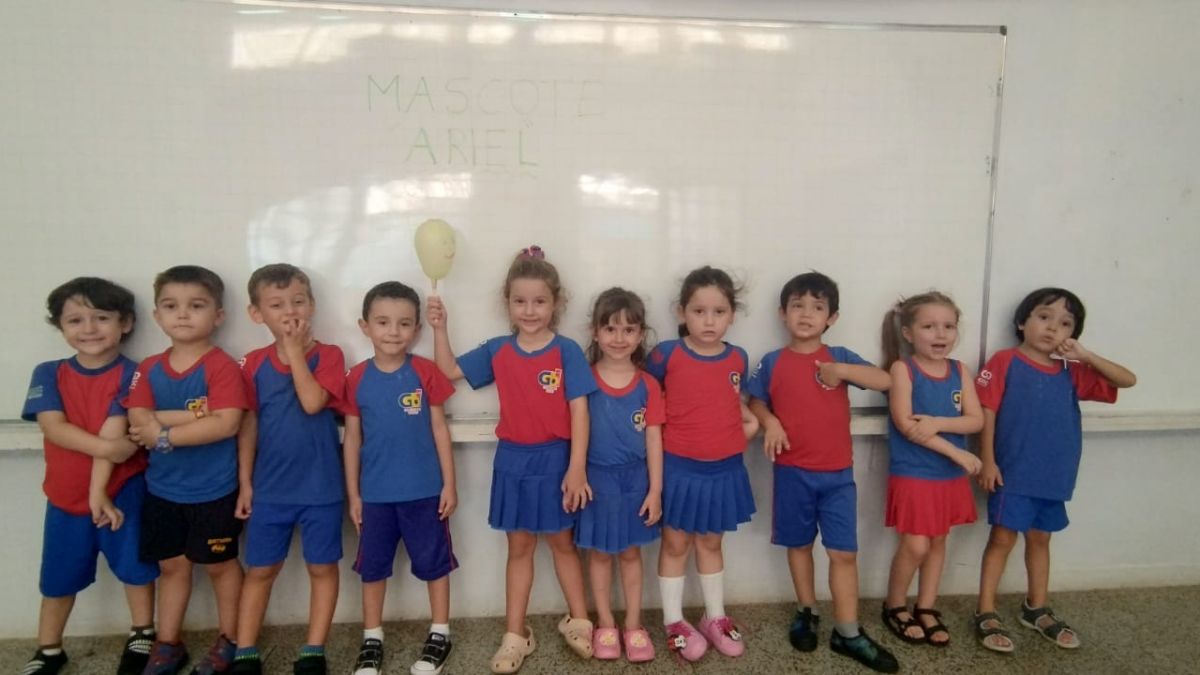 WhatsApp Image 2025 03 13 at 13.13.49