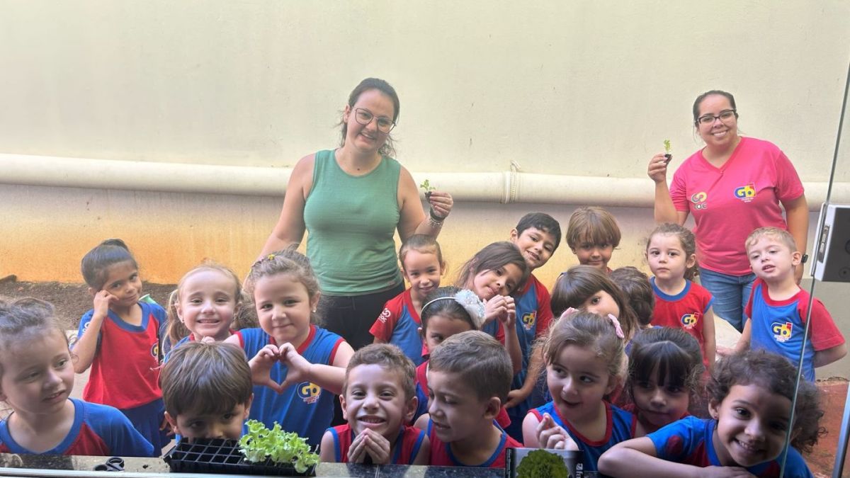 Vamos plantar alface? 1 WhatsApp Image 2025 03 14 at 09.30.51 1