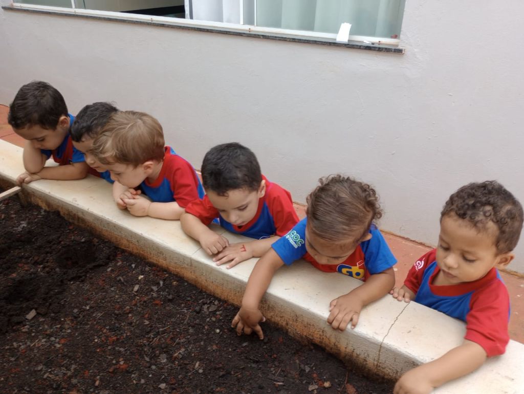 Horta Pedagógica - Plantio de Cenouras 8 WhatsApp Image 2025 03 18 at 08.03.09 4