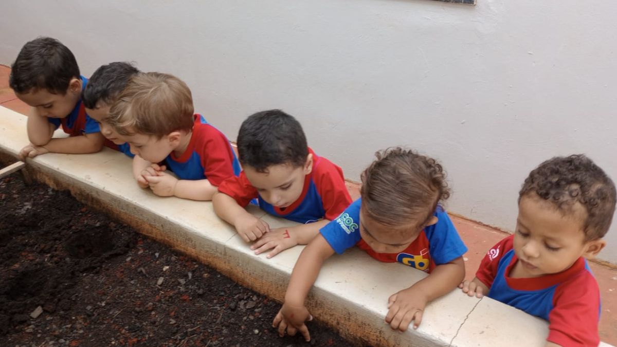 Horta Pedagógica - Plantio de Cenouras 1 WhatsApp Image 2025 03 18 at 08.03.09 4