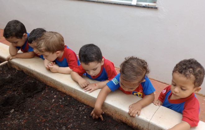 WhatsApp Image 2025 03 18 at 08.03.09 4