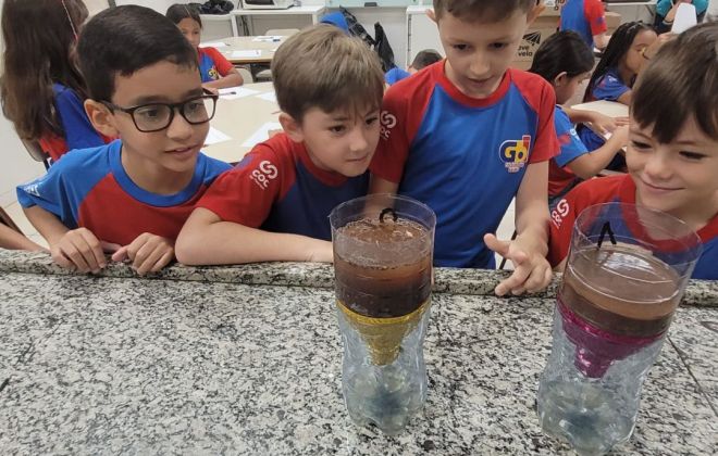 WhatsApp Image 2025 03 24 at 13.28.55 3