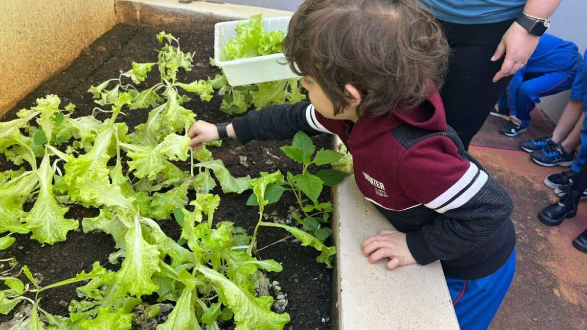 WhatsApp Image 2025 05 06 at 11.58.51 2