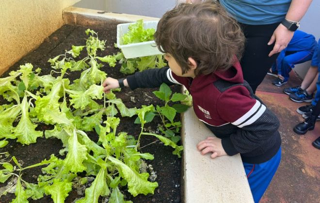 WhatsApp Image 2025 05 06 at 11.58.51 2