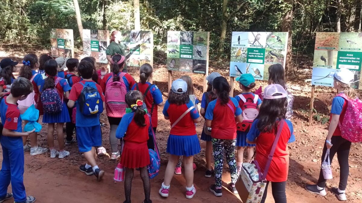 WhatsApp Image 2025 05 14 at 14.34.51 1