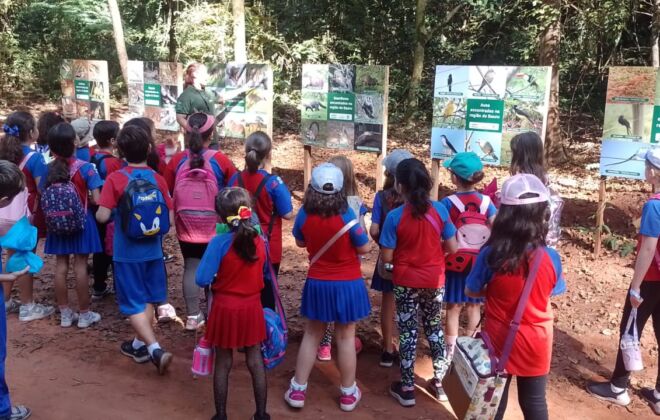 WhatsApp Image 2025 05 14 at 14.34.51 1