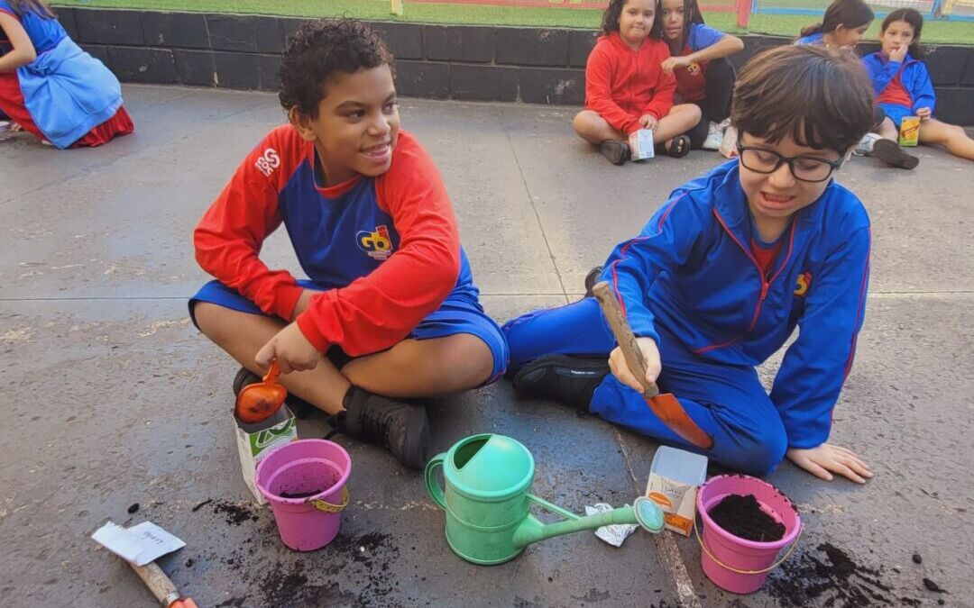 A minha semente! 1 WhatsApp Image 2025 05 14 at 14.45.39 2