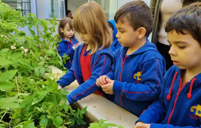 Finalização do Projeto Horta: uma experiência deliciosa! 3 20250618 081003