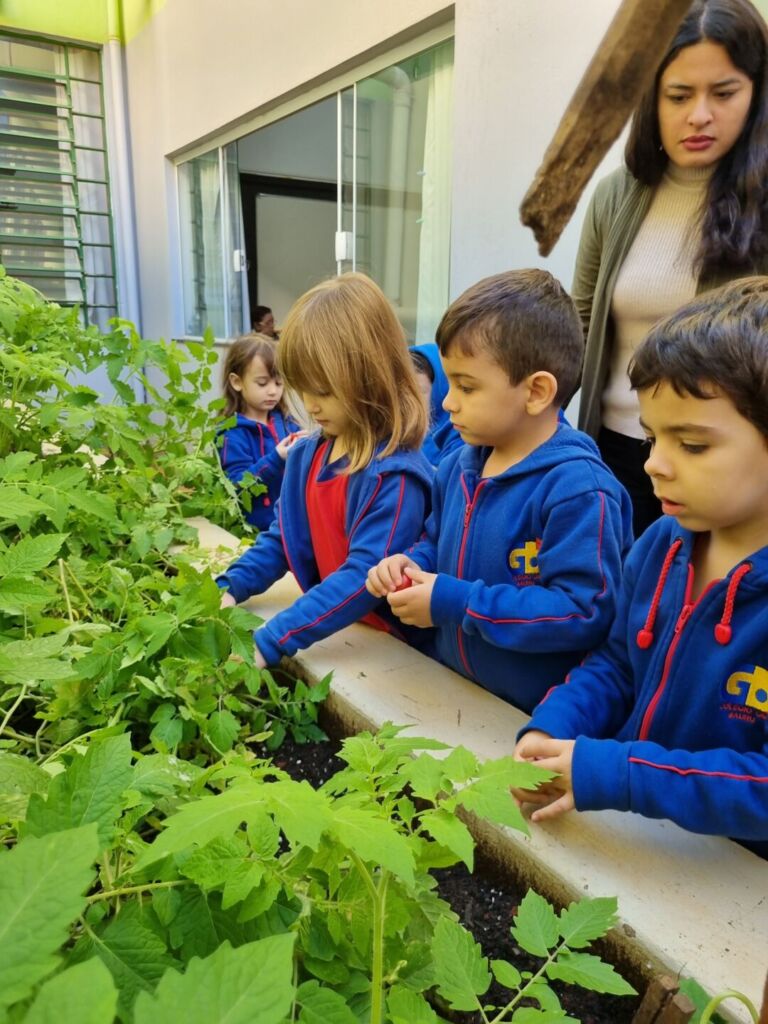 Finalização do Projeto Horta: uma experiência deliciosa! 4 20250618 081003