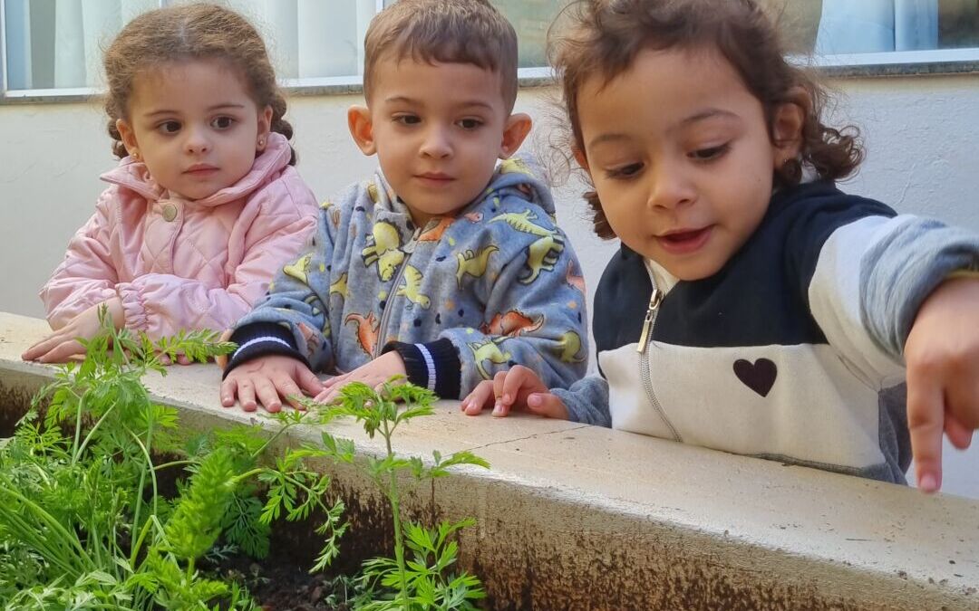 Bolinho de cenoura mega especial 1 20250624 161901