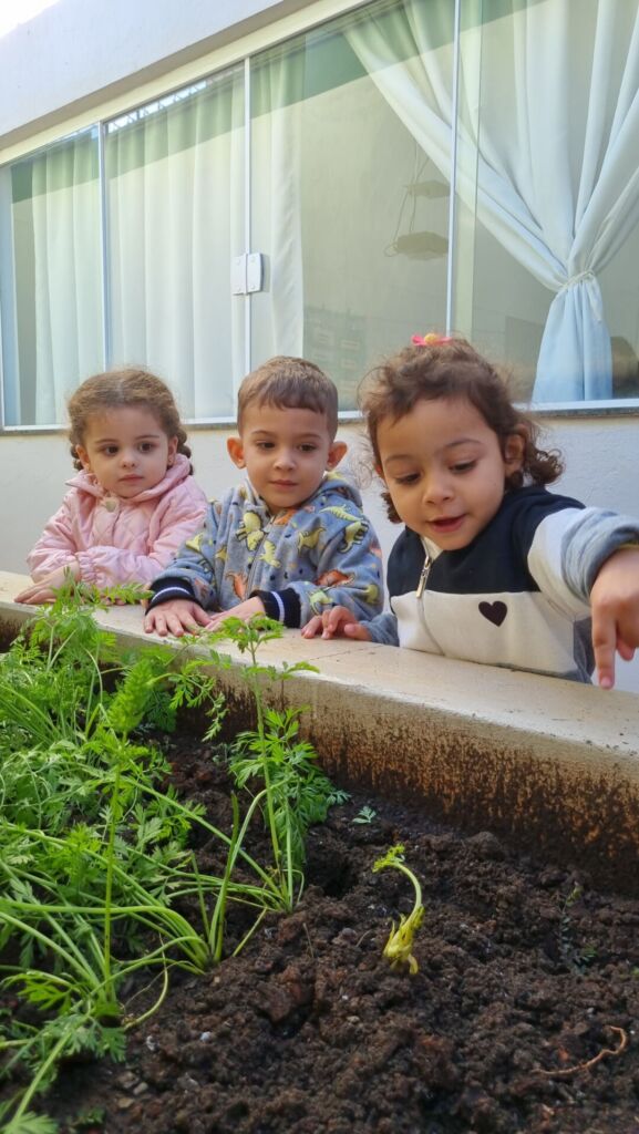 Bolinho de cenoura mega especial 3 20250624 161901
