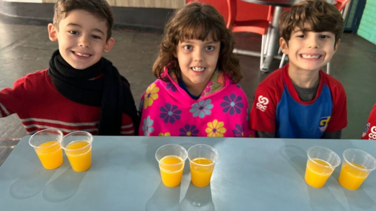 Suco de laranja: natural ou industrializado? 1 WhatsApp Image 2025 06 13 at 15.44.09