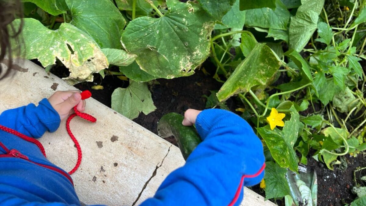 WhatsApp Image 2025 06 17 at 15.14.53