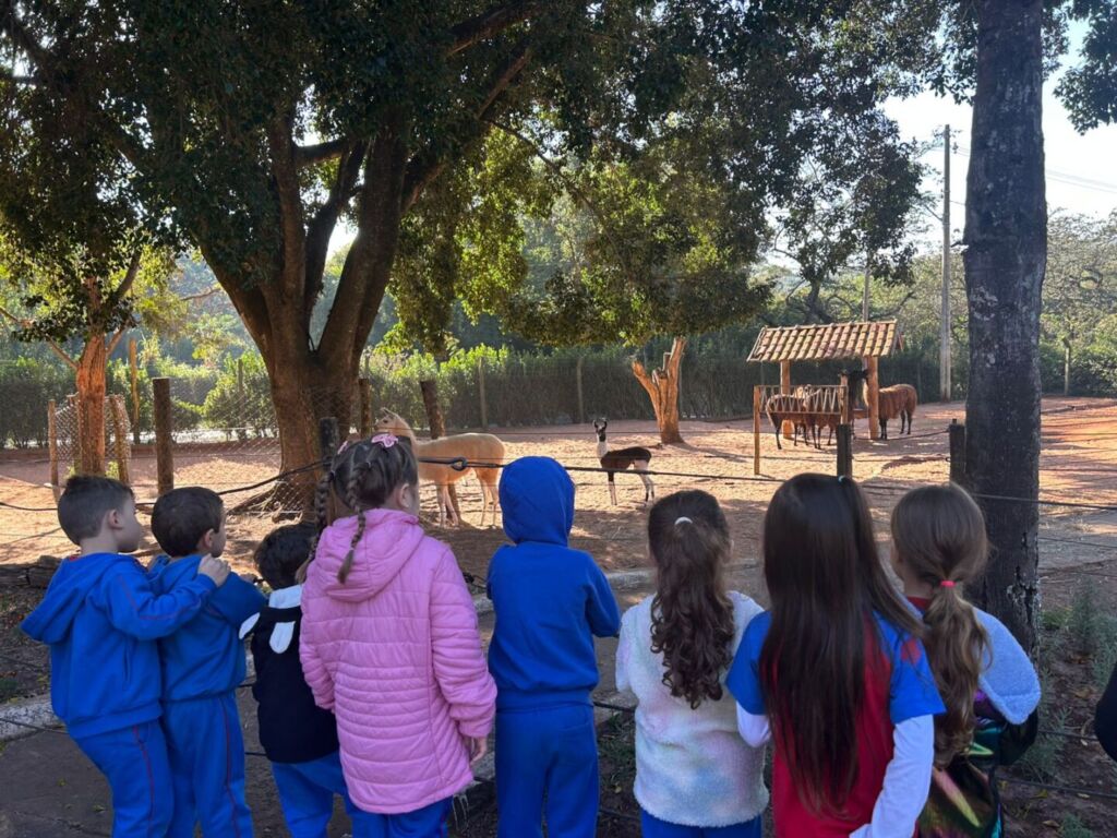 Vamos ao zoológico com a Ed Infantil? 1 WhatsApp Image 2025 08 13 at 11.21.55 1