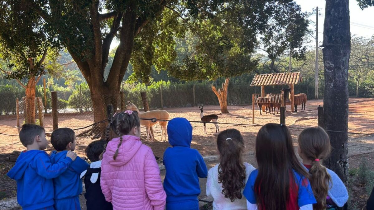 WhatsApp Image 2025 08 13 at 11.21.55 1