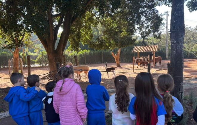 WhatsApp Image 2025 08 13 at 11.21.55 1