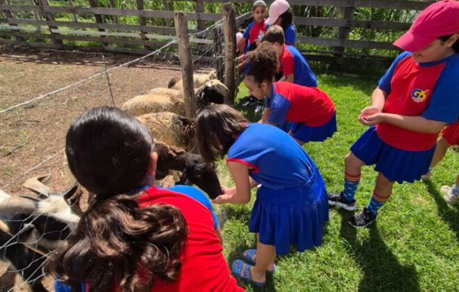 WhatsApp Image 2025 12 16 at 13.40.51 2