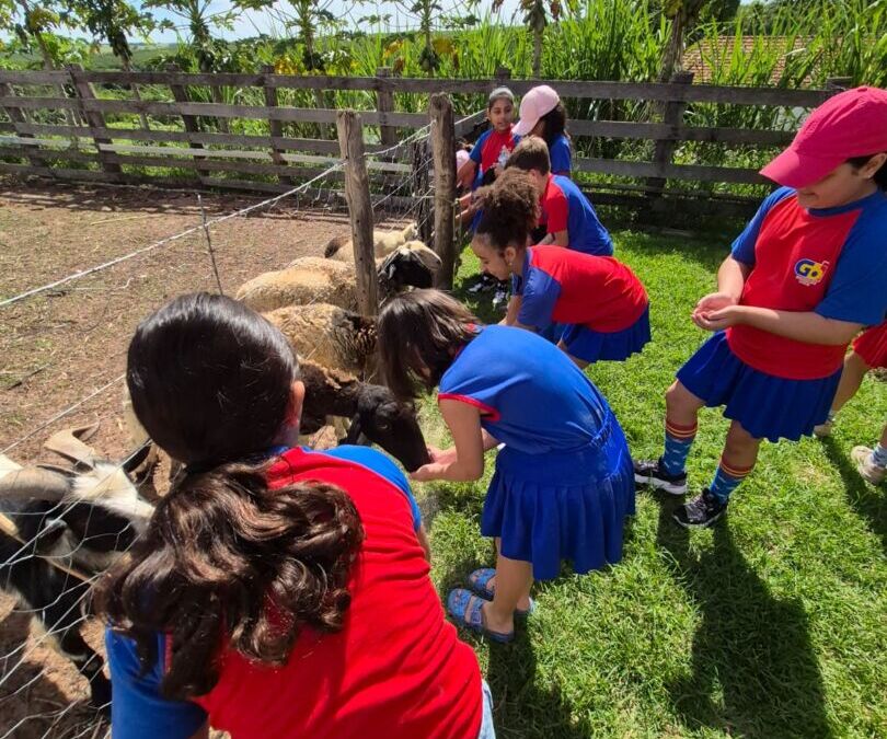 WhatsApp Image 2025 12 16 at 13.40.51 2