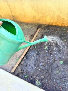 Home 11 1774312101907