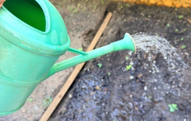 Cultivando Aprendizados e Valores 2 1774312101907